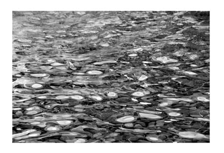 Ripple13X19