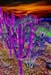 AlienLandscape19X13