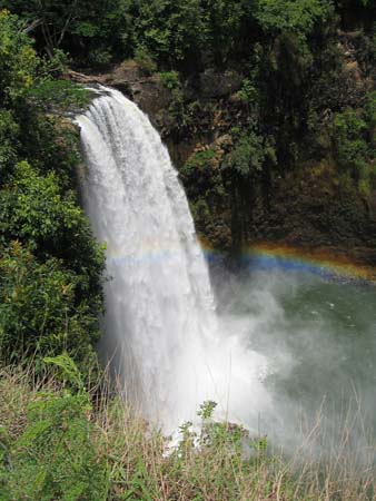 IMG_0259
